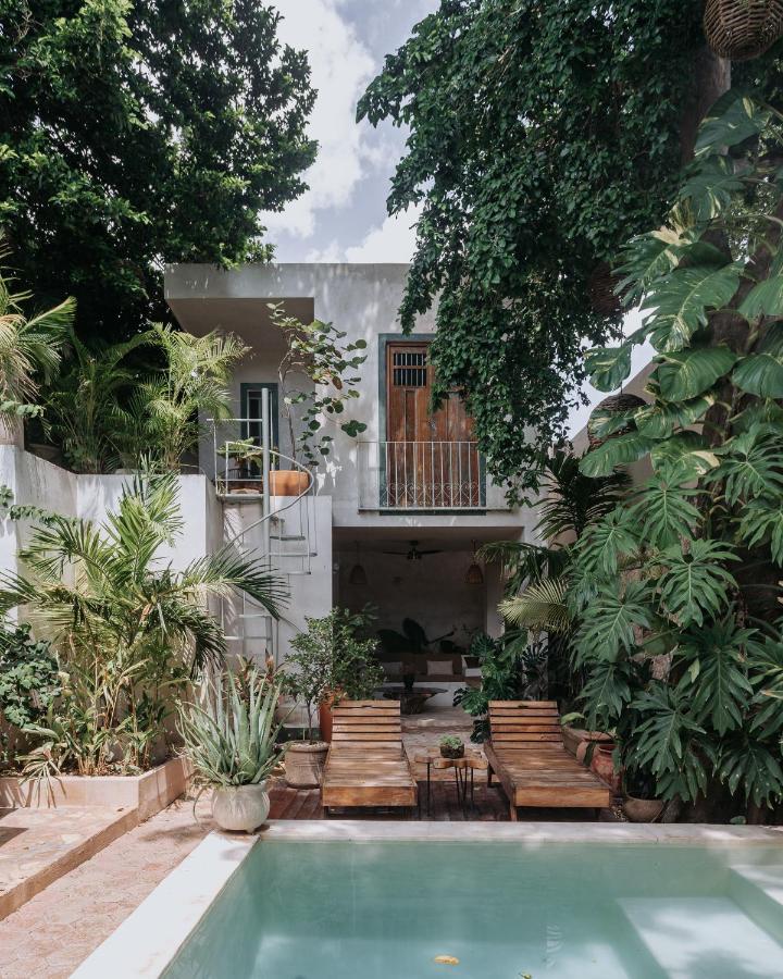 Casa Mezcla - Bed & Breakfast 메리다 외부 사진