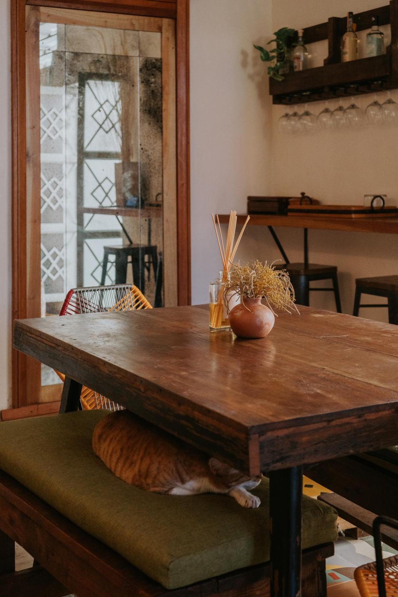 Casa Mezcla - Bed & Breakfast 메리다 외부 사진